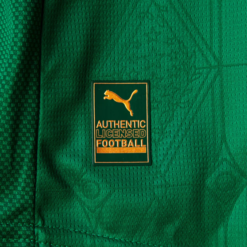 Jersey Puma Palmeiras 2025/26 Home Player Version