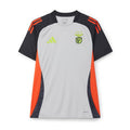 Benfica 2024/25 Grey Training Jersey